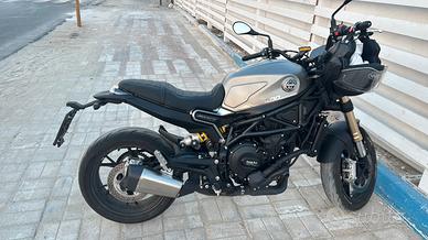 Benelli leoncino 800