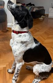 Lilith una seconda possibilità