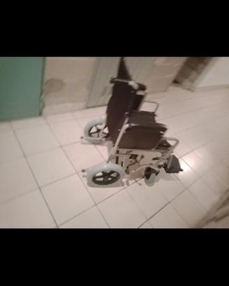 Sedia a rotelle per disabili