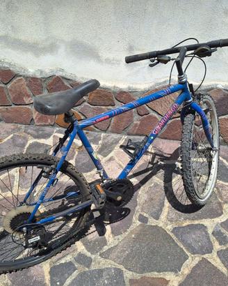 MTB Girardengo 26 pollici