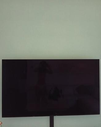 Televisione Sony 65 pollici Bavia Master Oled