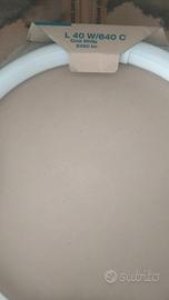 2 Lampade Neon Circolari OSRAM L 40W/640 C