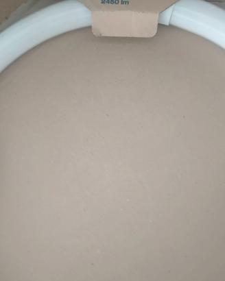 2 Lampade Neon Circolari OSRAM L 40W/640 C
