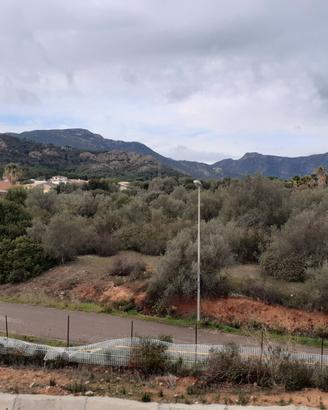 Terreno 2000 mq pianeggiante