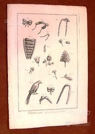 Piumaio - incisione originale del '700 - Diderot