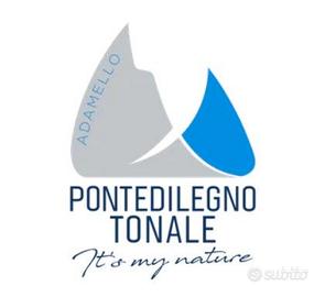 Cedola azionista SIT Ponte di Legno-Tonale