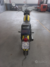 Ducati scrambler