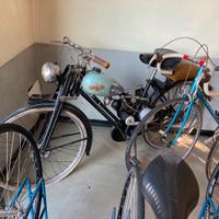 Aquilotto conservato