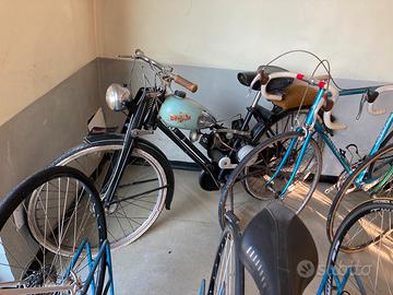 Aquilotto conservato