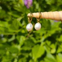 orecchini cerchio spessi acciaio oro perla fiume