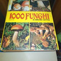 1000 funghi di Bruno Cetto editrice Erpi