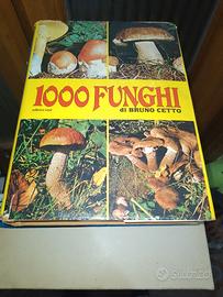 1000 funghi di Bruno Cetto editrice Erpi