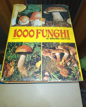 1000 funghi di Bruno Cetto editrice Erpi