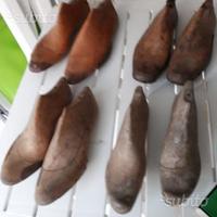 Antiche forme per scarpe in legno