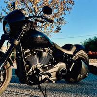 Harley davidson low rider s 117
