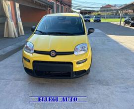 FIAT Panda FIN 1.0 70 cv Hybrid ADAS CON ROTTAMA