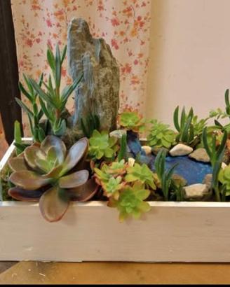 Composizione piante grasse succulente.