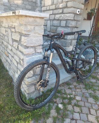 specialized stumpjumper