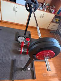 Palestra