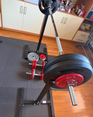 Palestra
