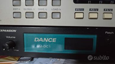 Roland Sound Expansion Dance M DC1