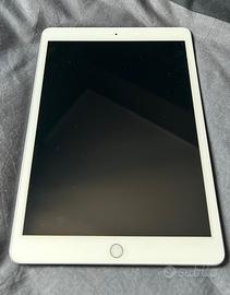 Apple Ipad 7 generazione usato wifi