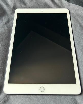 Apple Ipad 7 generazione usato wifi