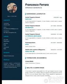 autista, Magazziniere, scaffalista 