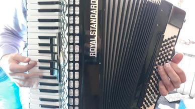 Fisarmonica ROYAL STANDARD