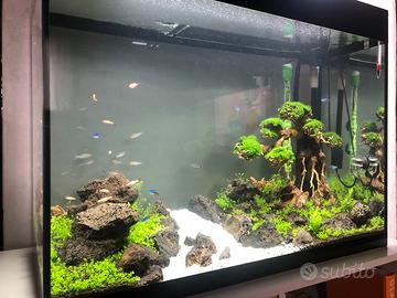Acquario Askoll Pure Led XL HC 130 litri