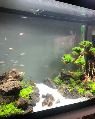 Acquario Askoll Pure Led XL HC 130 litri