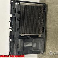 CALANDRA CON KIT RADIATORI CITROEN C3 1a Serie Die
