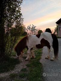 83 cm 6 anni buonissimo