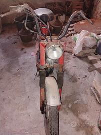 Califfone 50cc