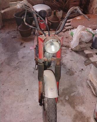 Califfone 50cc