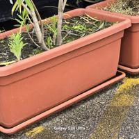Fioriere rettangolari in plastica con sottovaso –