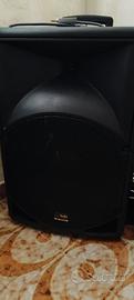 cassa bluetooth karaoke 