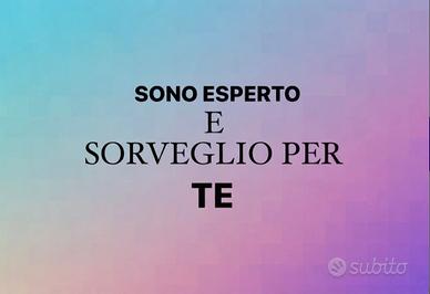 Sorveglianza beni, dipendenti e situazioni PG+PROV