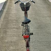 Bicicletta olandese (esclusiva!) per amatori