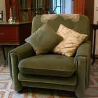 Coppia poltrone in velluto verde