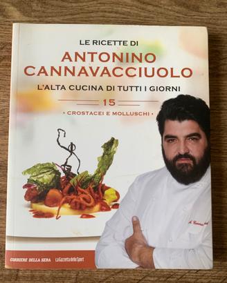 Libro Antonino Cannavacciuolo