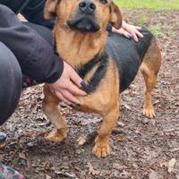 Olly: taglia piccola, 4 anni