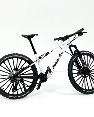 NUOVO Modello Bicicletta, molto curato