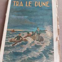 TRA LE DUNE e 2000 LEGHE SOTTO L'AMERICA