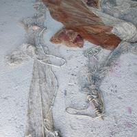 rete da pesca (Sciavichiello)