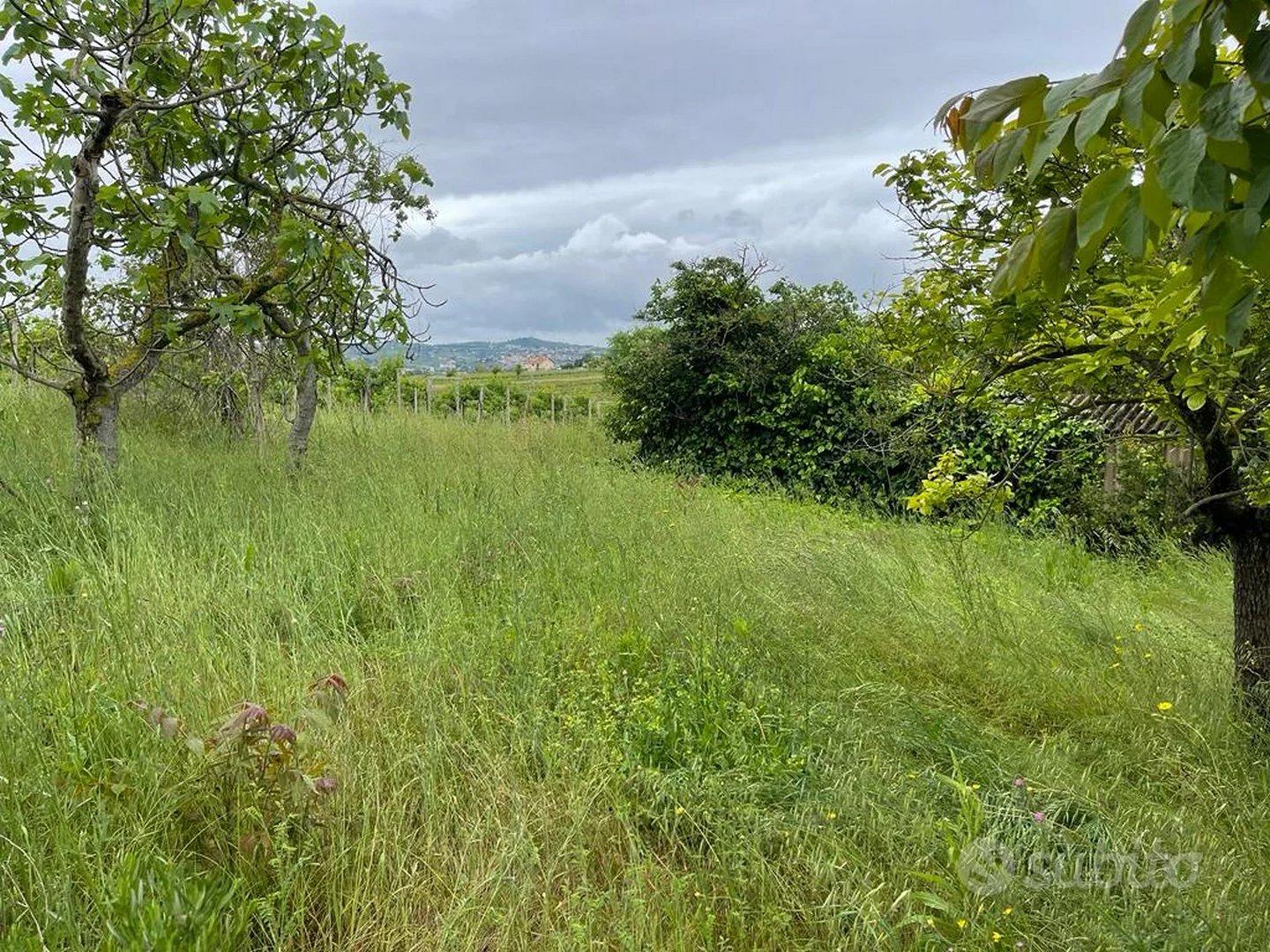 TERRENO PER IMPIANTI SPORTIVI - Vista 6