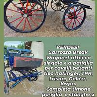 carrozze calessi cavallo e pony 