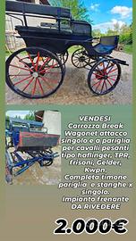 carrozze calessi cavallo e pony 