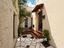 Immagine 2