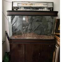 Acquario 